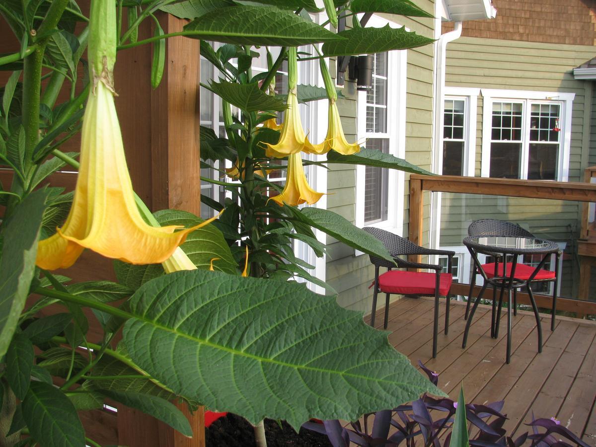 Gi'Temps Couette Et Cafe B&B Granby Dış mekan fotoğraf